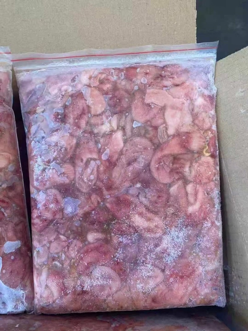干水巴沙鱼肚原材料适合工厂二次加工20斤/件。越南进口