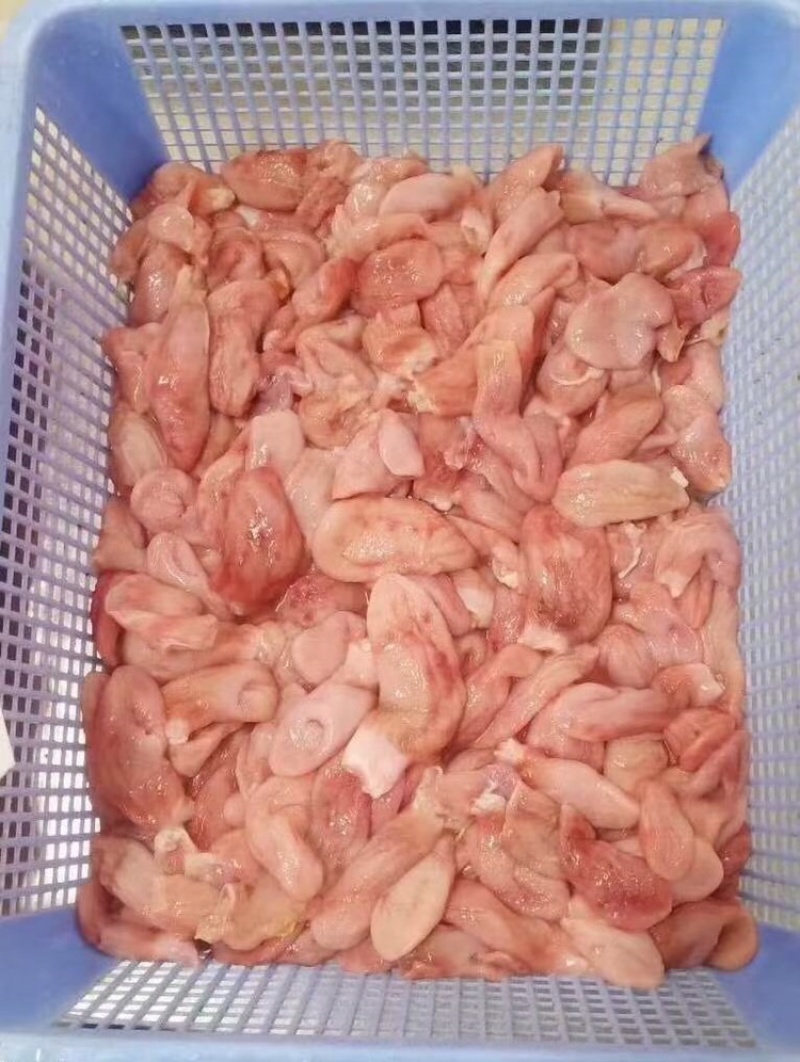 干水巴沙鱼肚原材料适合工厂二次加工20斤/件。越南进口