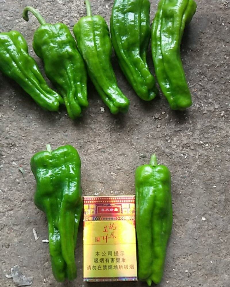 虎皮青椒