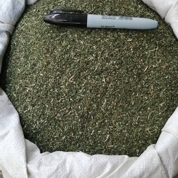 厂家直销穿心莲全叶含量达国标支持检验