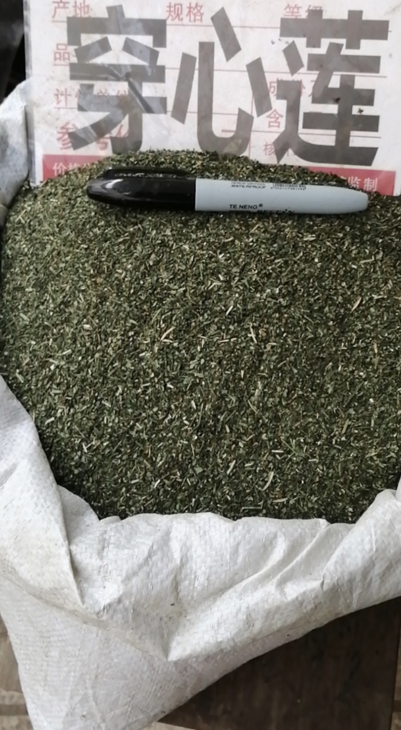 厂家直销穿心莲全叶含量达国标支持检验