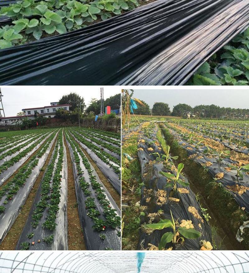 农用种植加厚抗老化黑地膜塑料薄膜除草保温保湿防草大棚果树