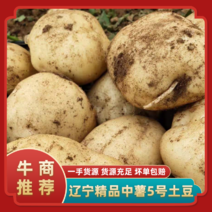 【土豆】辽宁精品中薯5号刘平一沃土！品种齐全欢迎选购