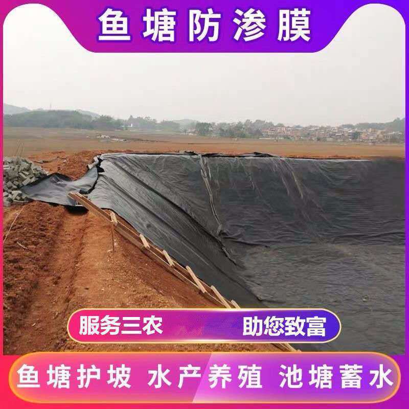 鱼塘防渗膜塑料薄膜防水膜加厚防漏膜池塘防水布鱼池膜专用土