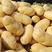 【推荐】荷兰十五土豆黄心黄皮，产地直发代发全国欢迎来电