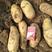 【推荐】荷兰十五土豆黄心黄皮，产地直发代发全国欢迎来电
