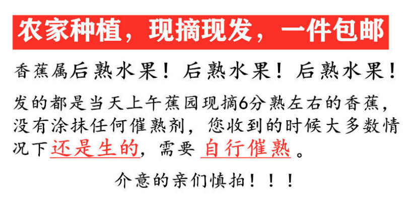 【果园直发】【支持一件代发】广西小米蕉新鲜香蕉多规格包邮