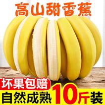 【一件代发】云南高山香蕉整箱当季水果新鲜自然熟香蕉皇帝蕉