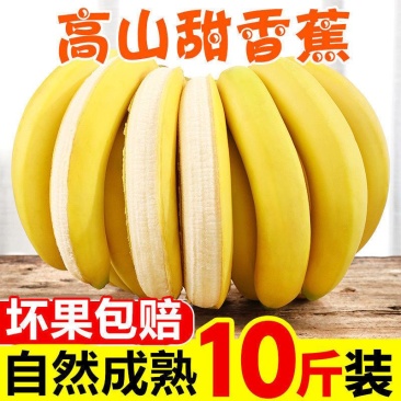 【一件代发】云南高山香蕉整箱当季水果新鲜自然熟香蕉皇帝蕉
