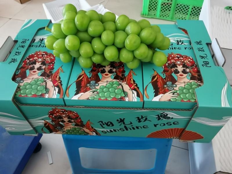 云南阳光玫瑰精品果大量上市需要联系口感甜