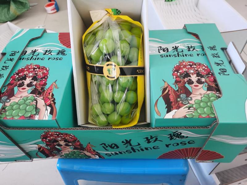 云南阳光玫瑰精品果大量上市需要联系口感甜