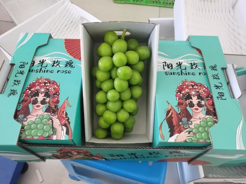 云南阳光玫瑰精品果大量上市需要联系口感甜
