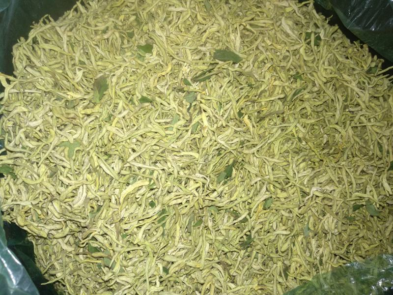 金银花