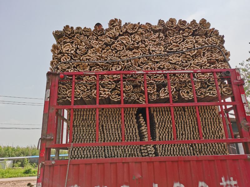 优质精品中节片，五年以上老楠竹加工的中节片加工打好眼竹片