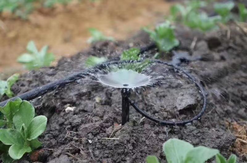 厂家直销喷灌滴灌节水灌溉大棚园艺浇花用全圆伞射八孔插尖地