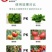 自然晾干干鸡粪块，纯鸡粪晾晒，蛋鸡鸡粪，无杂质