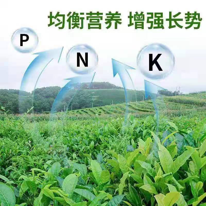 自然晾干干鸡粪块，纯鸡粪晾晒，蛋鸡鸡粪，无杂质