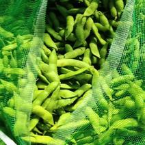 精品开心绿毛豆，大量上市中，全国各地发货