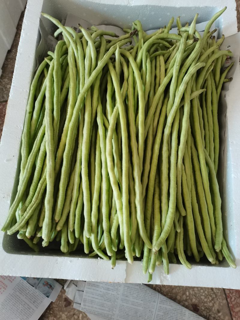 油豆角甜豆角。。。。