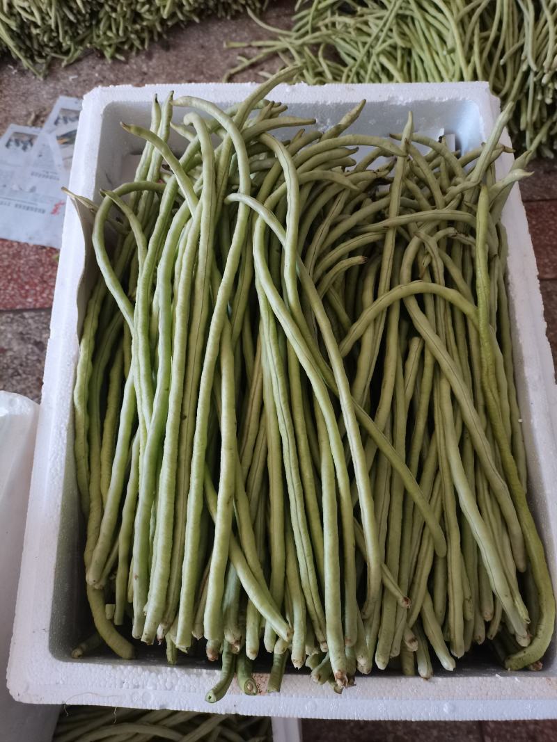油豆角甜豆角。。。。