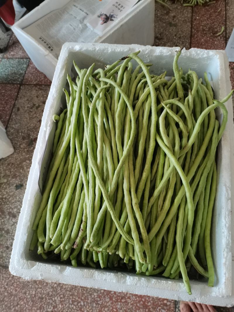 油豆角甜豆角。。。。