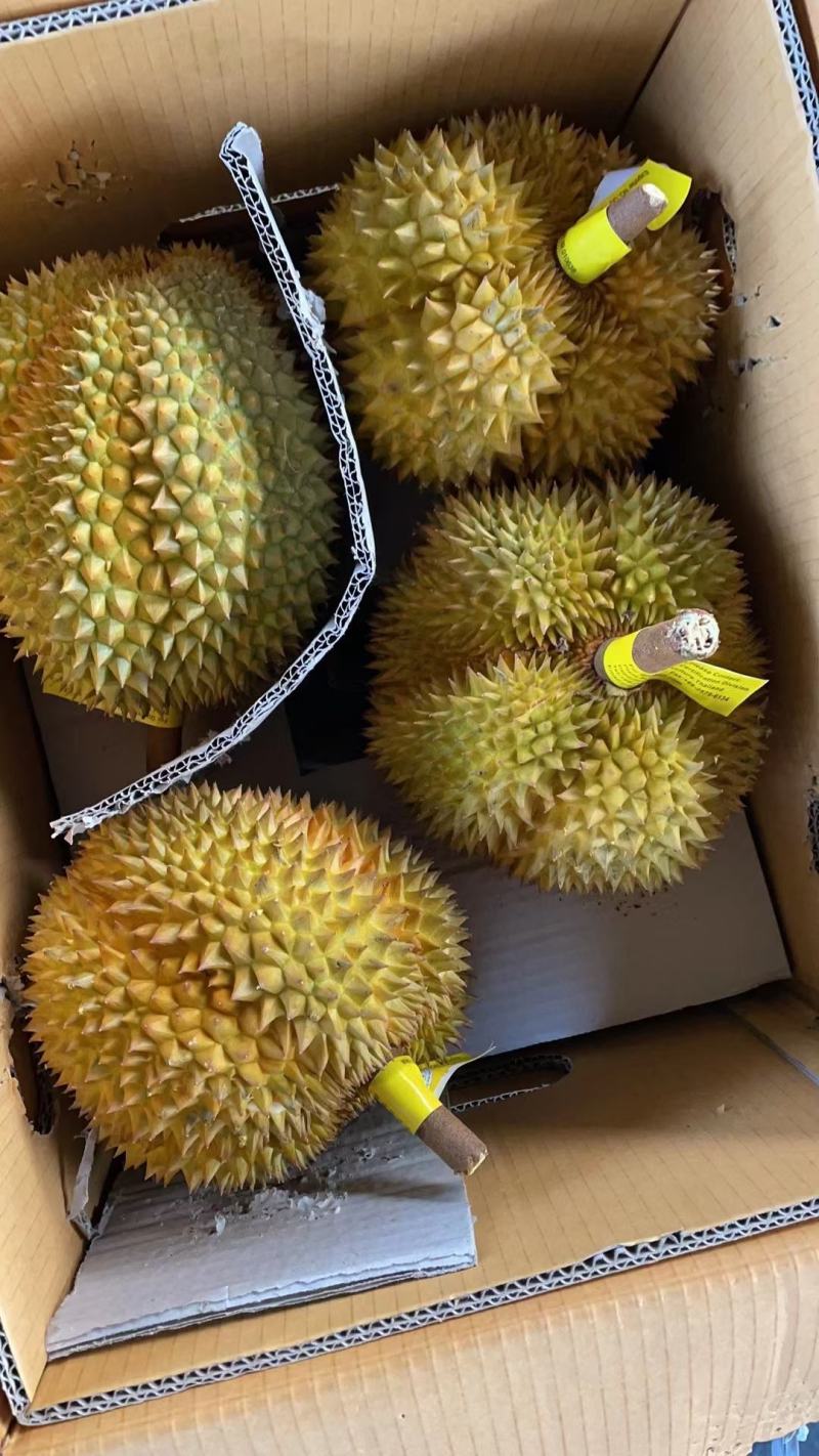泰国金枕榴莲，可整柜订货，产地带包装贴牌等业务