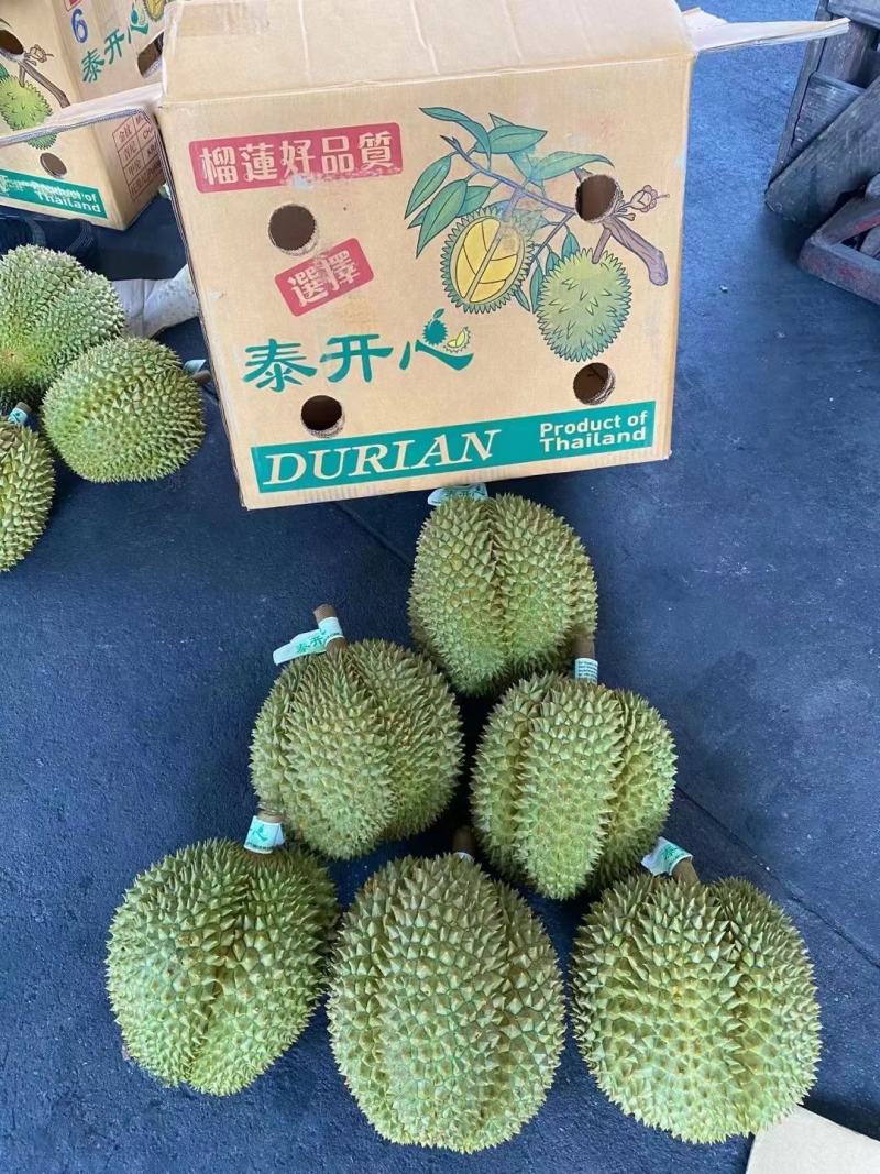 泰国金枕榴莲，可整柜订货，产地带包装贴牌等业务