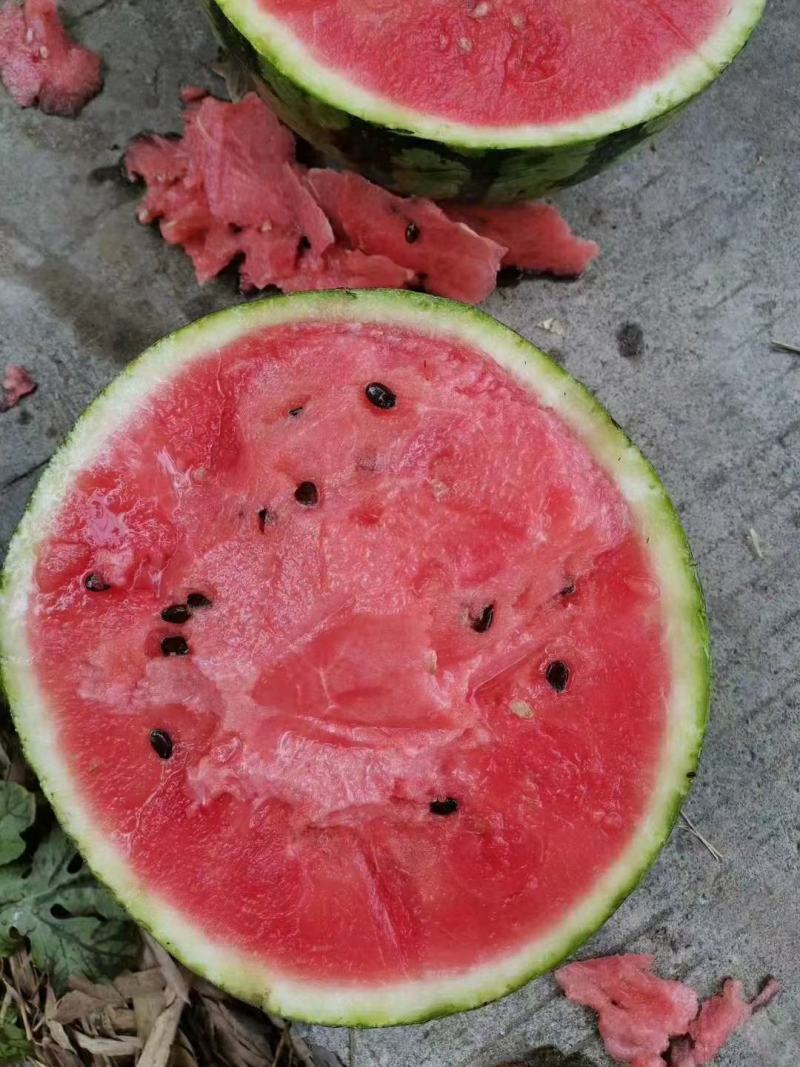 西瓜大量有货，各种品种都有有需要的老板电话联系。价格优惠