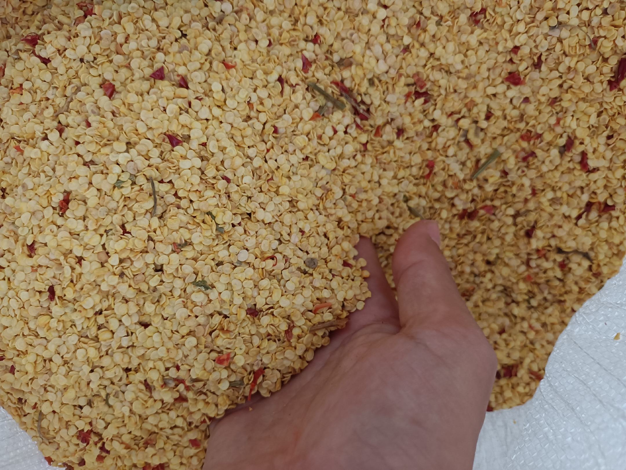 螺丝椒煸炒过程展示