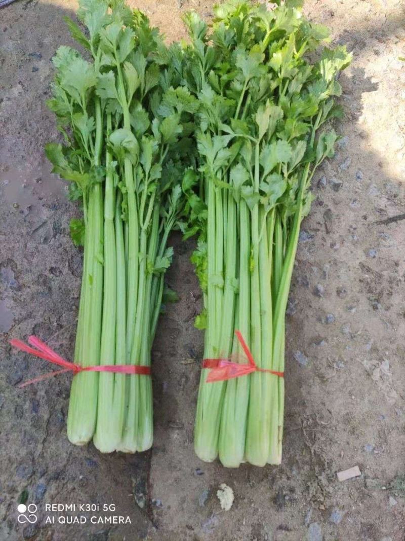 芹菜