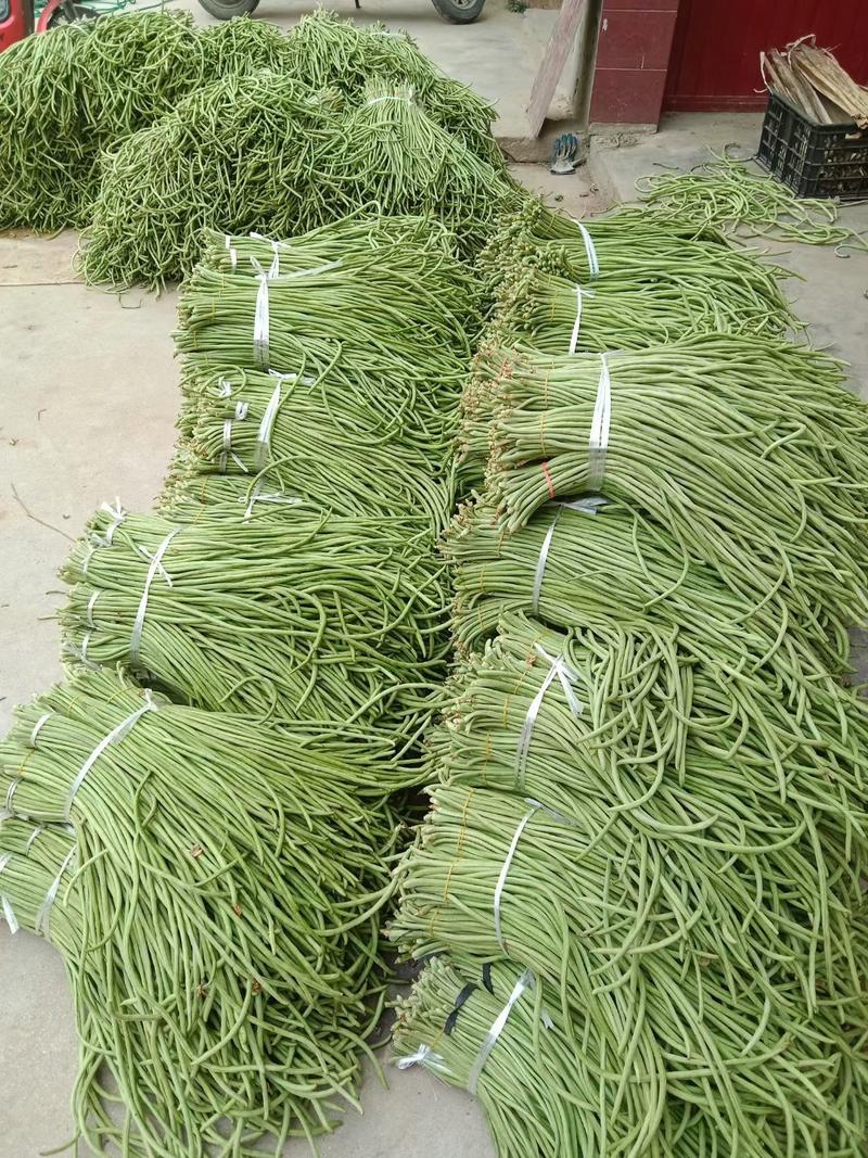 陕西汉中城固县豇豆，货源多多