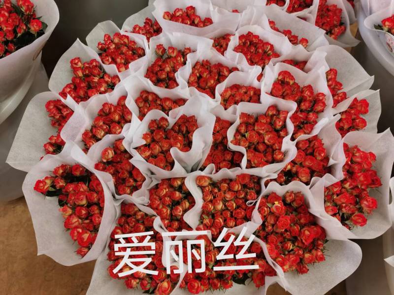 玫瑰鲜花基地直销鲜切花常年供应地摊花店婚庆
