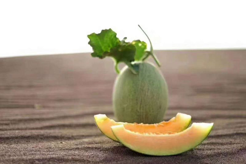 哈密瓜