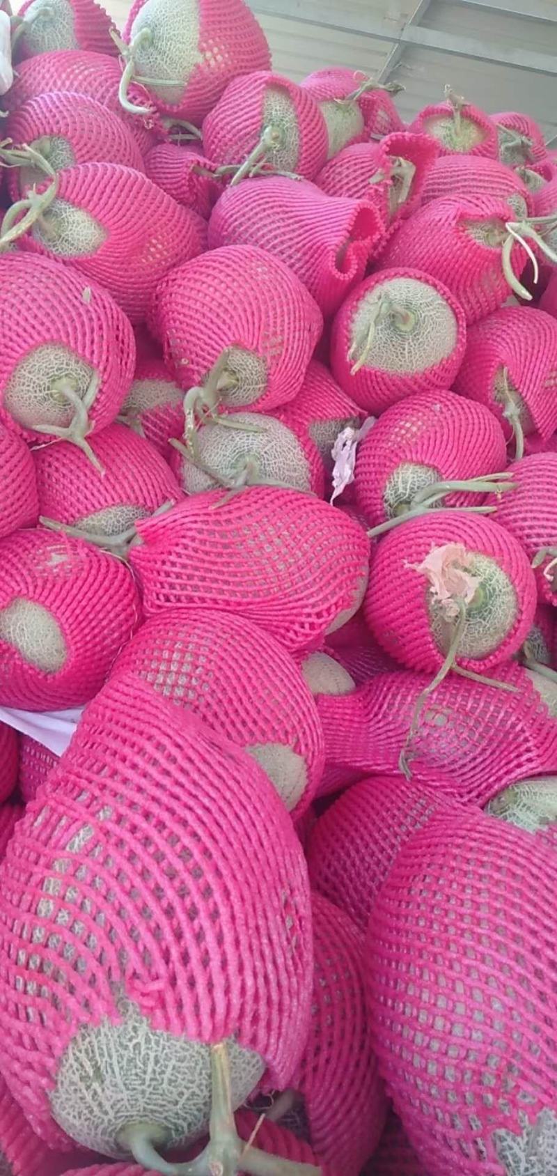 哈密瓜
