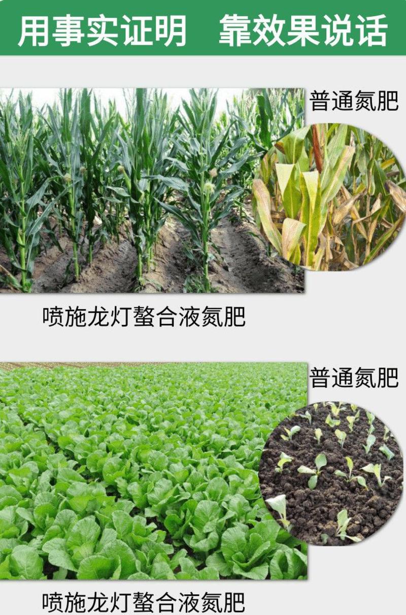 液体氮肥速效绿叶提苗茎壮代替尿素追肥玉米水稻烟草蔬菜果树