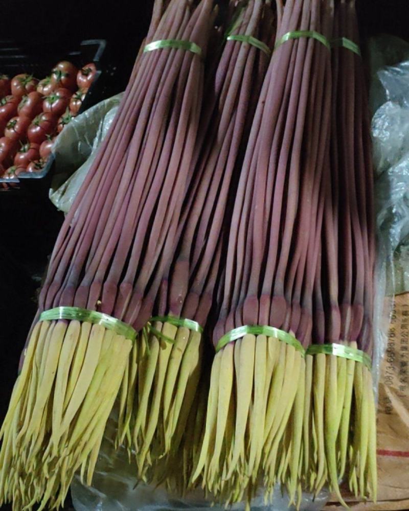 云南芋头花