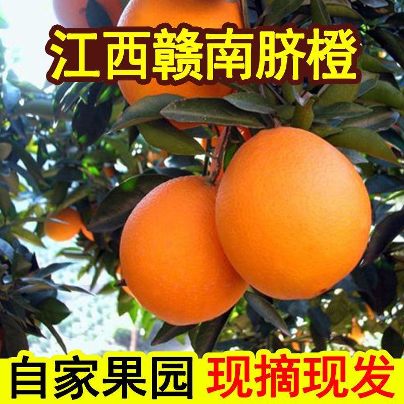 【产地直发】江西赣南脐橙10斤5斤高山新鲜薄皮爆甜多汁大