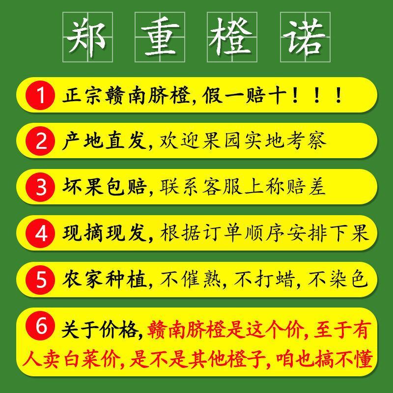 【产地直发】江西赣南脐橙10斤5斤高山新鲜薄皮爆甜多汁大