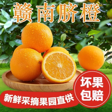 【产地直发】江西赣南脐橙10斤5斤高山新鲜薄皮爆甜多汁大