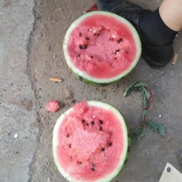 西瓜