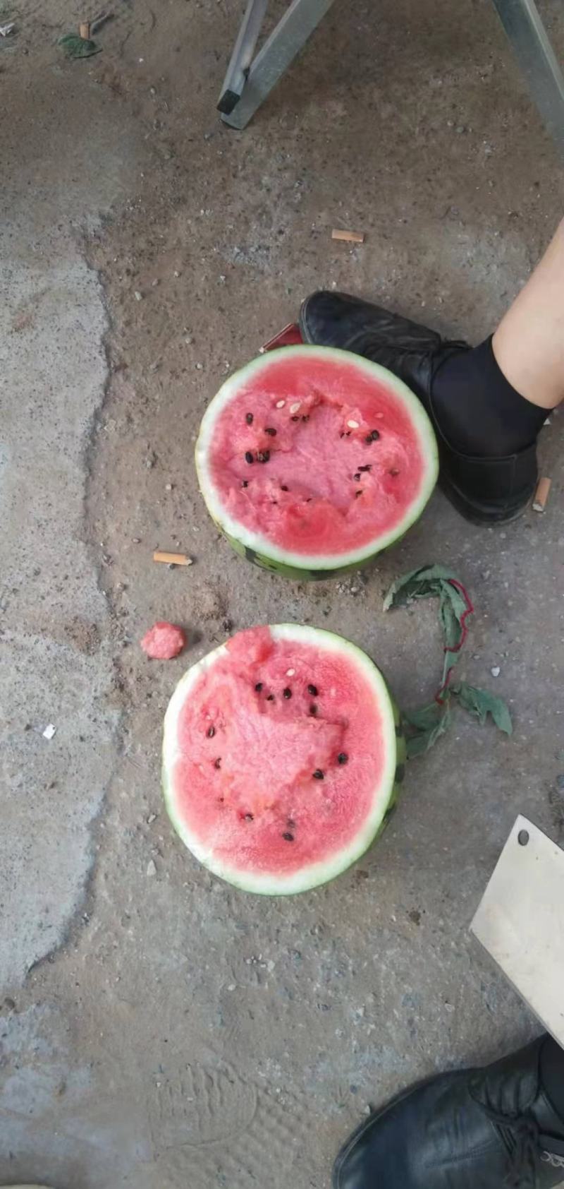 西瓜