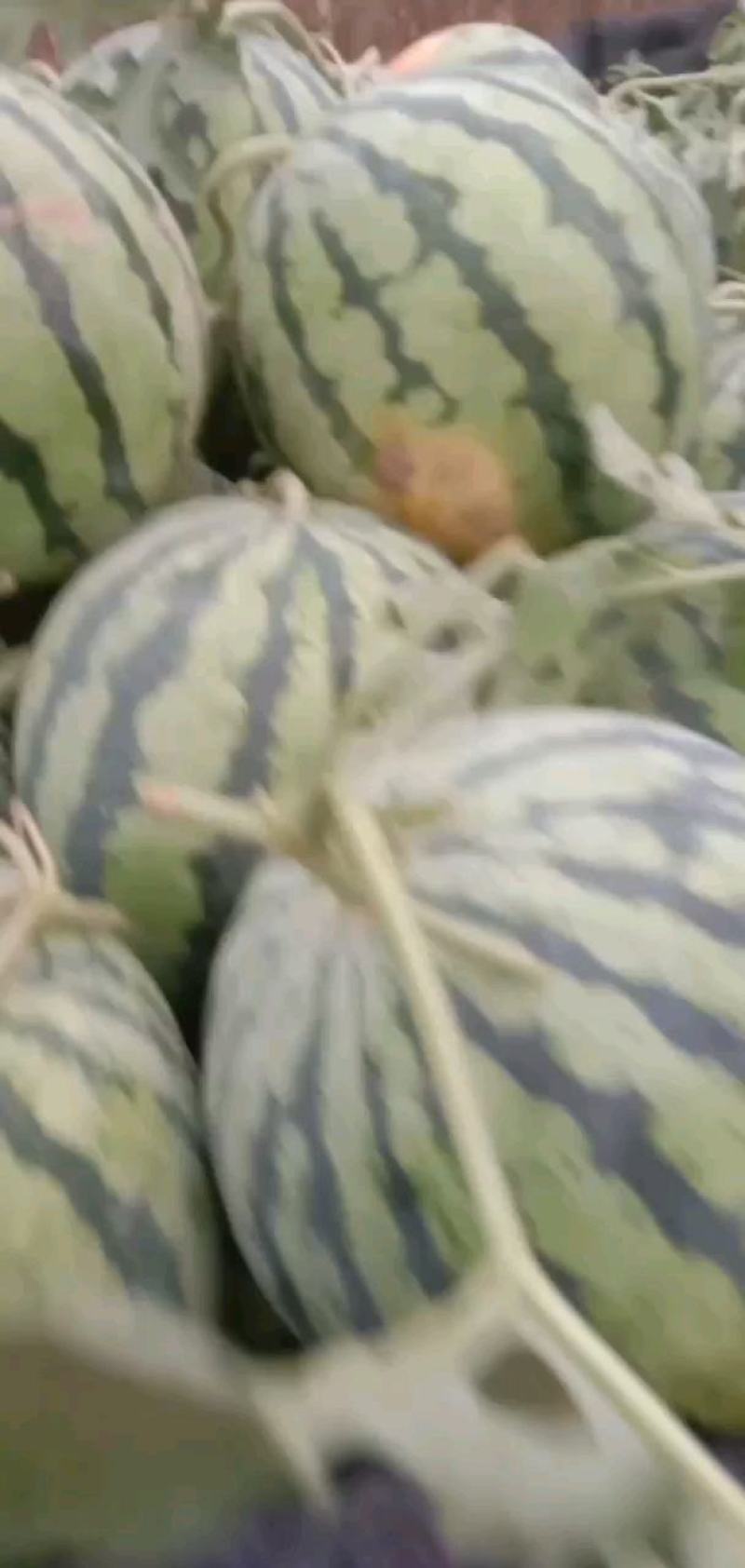 西瓜