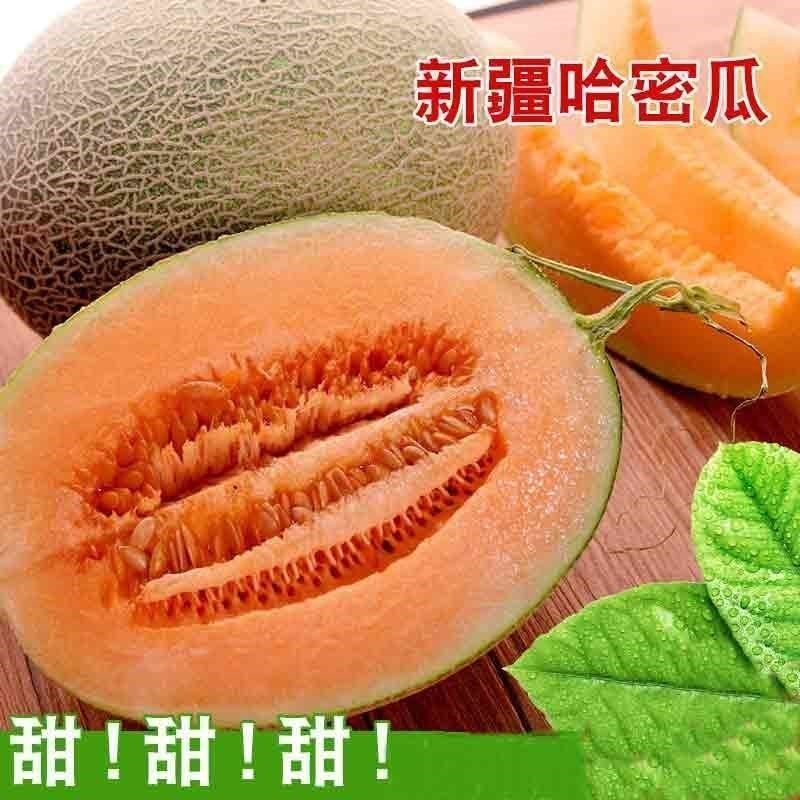 哈密瓜新疆正宗西州蜜瓜新鲜水果10斤香甜批发整箱