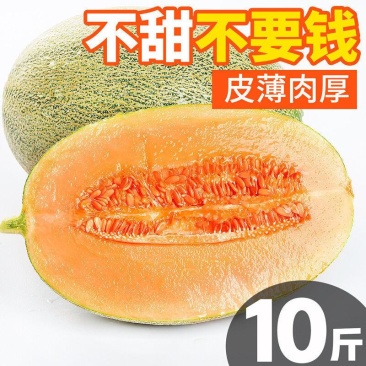 哈密瓜新疆正宗西州蜜瓜新鲜水果10斤香甜批发整箱