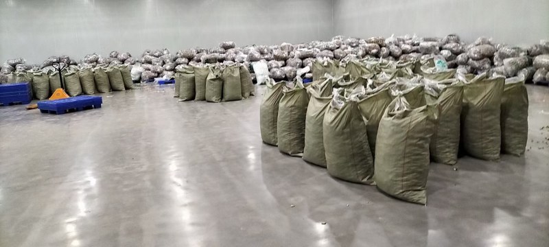 机械烘干茄子片茄子条全干精品货一袋20斤