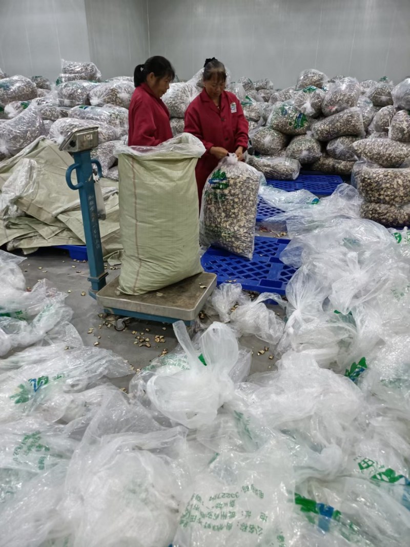 机械烘干茄子片茄子条全干精品货一袋20斤