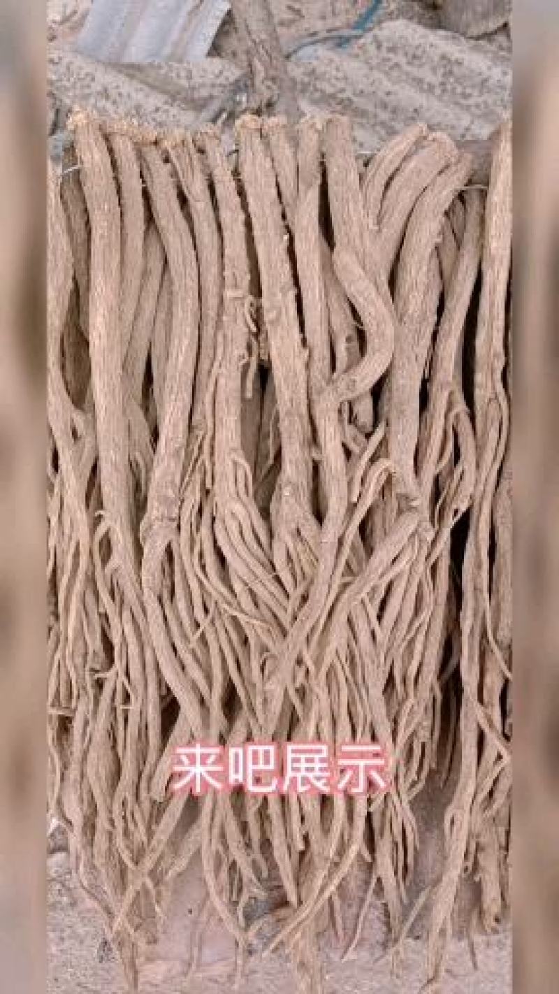 批发中药材党参干纹党新货甘肃农家自产单卖无硫熏甜党参2斤