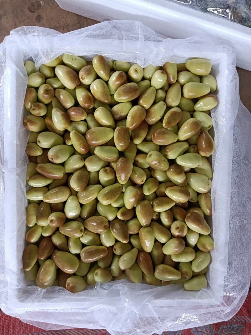 金脆蜜枣