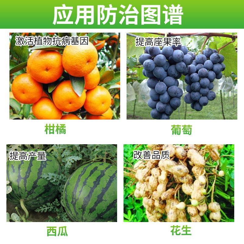 补磷补钾保花果座花果脱斑去锈美果亮果防裂彭大磷钾元素