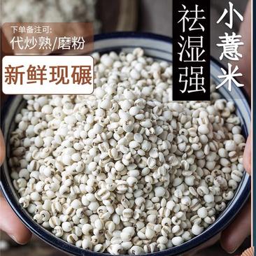 薏米仁特级优选薏米仁贵州货批发各种中药材产地直销